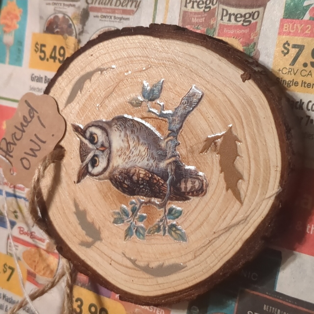🦉Fall Wood Owl Ornament Slice